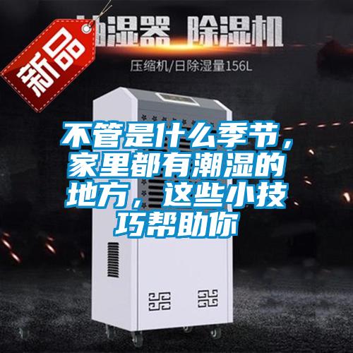 不管是什么季節(jié)，家里都有潮濕的地方，這些小技巧幫助你