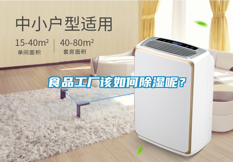 食品工廠該如何除濕呢？