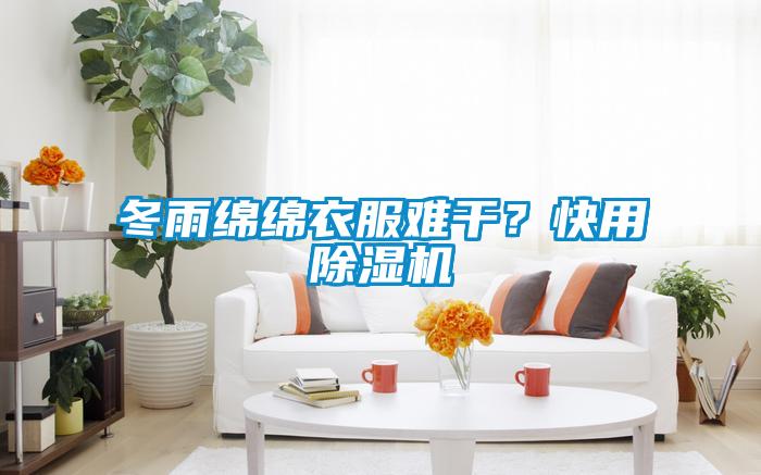 冬雨綿綿衣服難干？快用除濕機(jī)