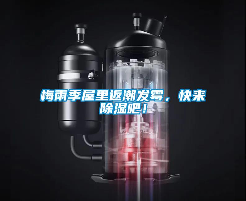 梅雨季屋里返潮發(fā)霉，快來除濕吧！
