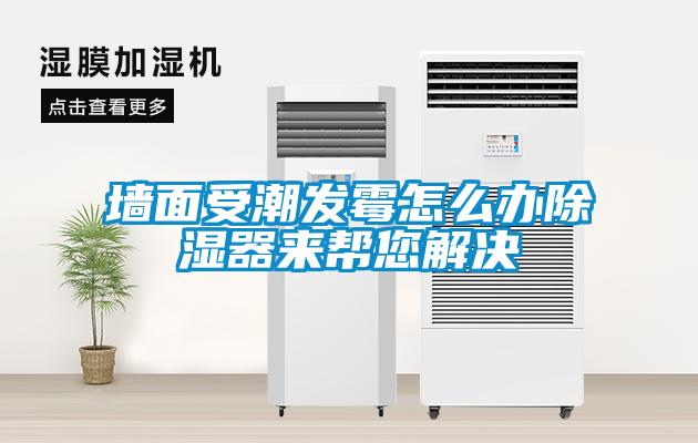 墻面受潮發(fā)霉怎么辦除濕器來(lái)幫您解決