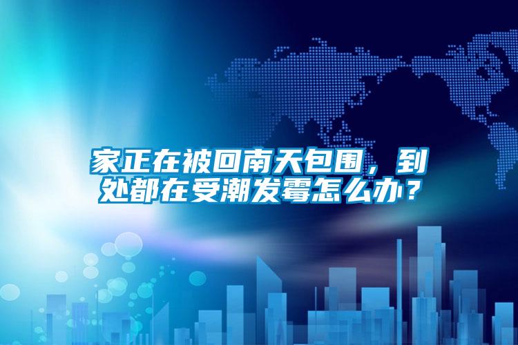 家正在被回南天包圍，到處都在受潮發(fā)霉怎么辦？