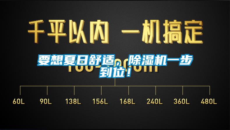 要想夏日舒適，除濕機一步到位！