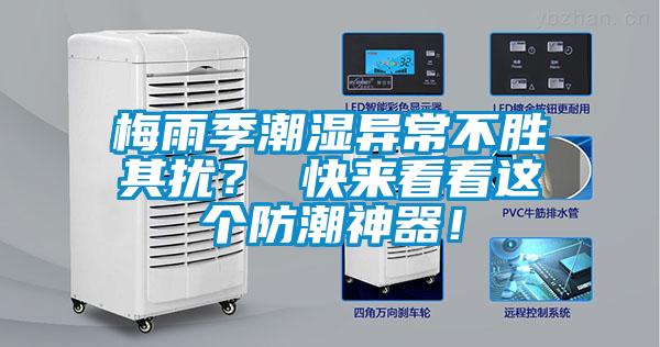 梅雨季潮濕異常不勝其擾？ 快來看看這個防潮神器！