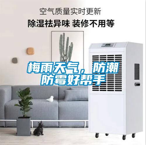梅雨天氣，防潮防霉好幫手