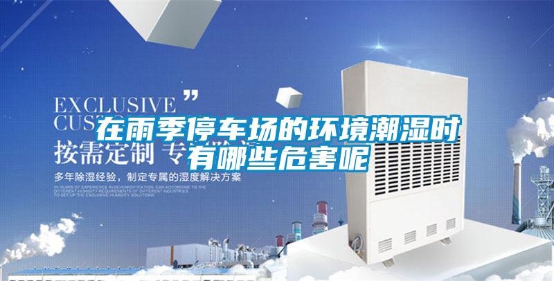在雨季停車場的環(huán)境潮濕時(shí)有哪些危害呢
