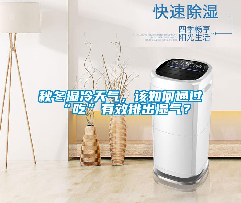 秋冬濕冷天氣，該如何通過“吃”有效排出濕氣？