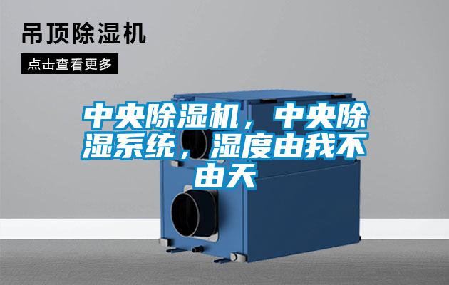 中央除濕機，中央除濕系統(tǒng)，濕度由我不由天