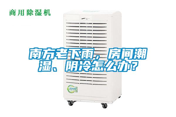 南方老下雨，房間潮濕、陰冷怎么辦？