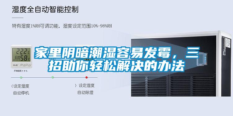 家里陰暗潮濕容易發(fā)霉，三招助你輕松解決的辦法