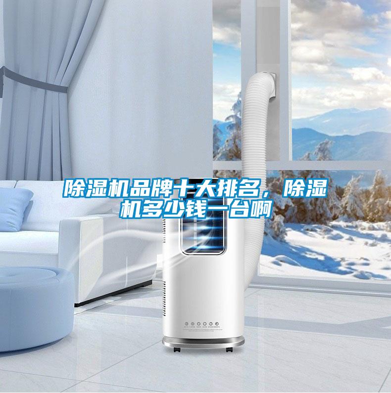 除濕機(jī)品牌十大排名，除濕機(jī)多少錢一臺啊