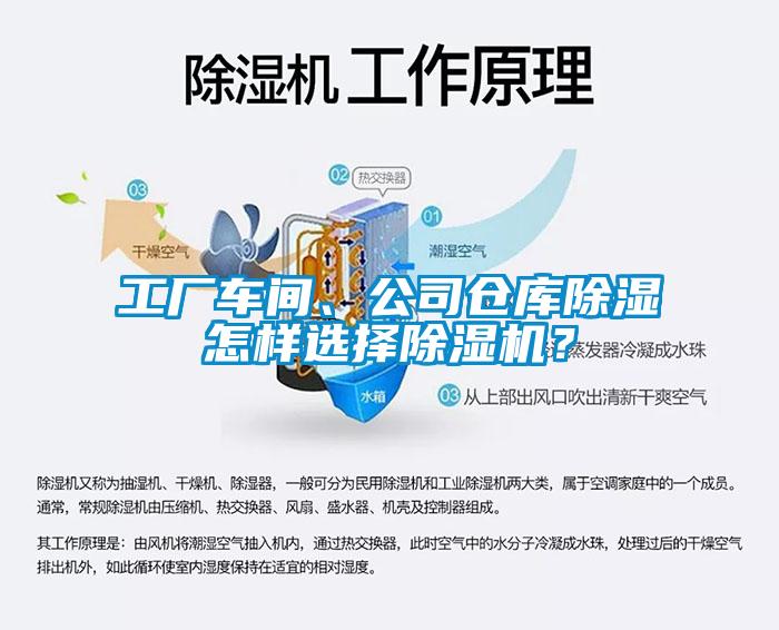 工廠車間、公司倉庫除濕怎樣選擇除濕機？