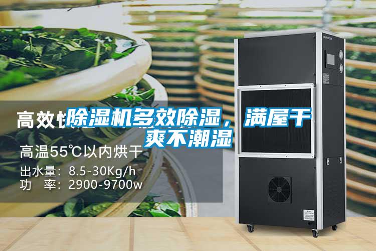 除濕機多效除濕，滿屋干爽不潮濕