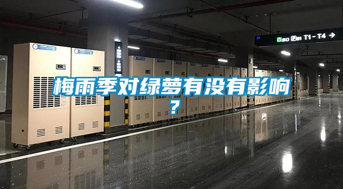 梅雨季對綠蘿有沒有影響？