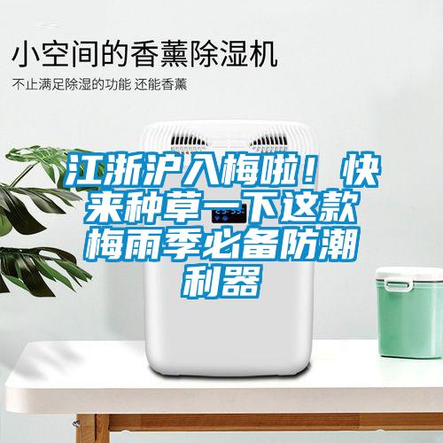 江浙滬入梅啦！快來種草一下這款梅雨季必備防潮利器