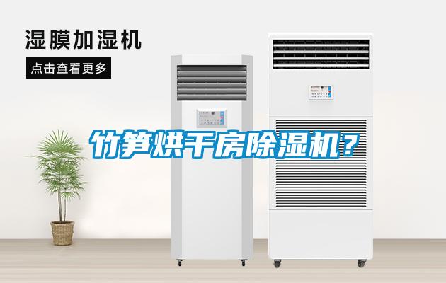 竹筍烘干房除濕機(jī)？