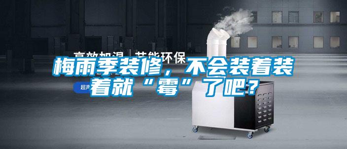 梅雨季裝修，不會(huì)裝著裝著就“霉”了吧？