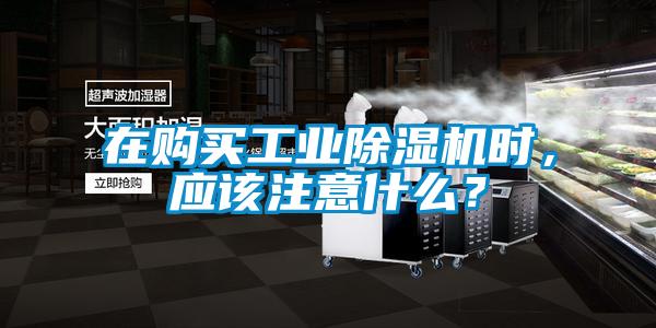 在購買工業(yè)除濕機(jī)時，應(yīng)該注意什么？