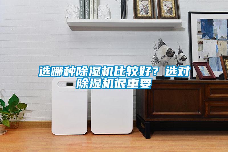 選哪種除濕機(jī)比較好？選對除濕機(jī)很重要