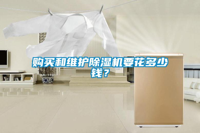 購(gòu)買(mǎi)和維護(hù)除濕機(jī)要花多少錢(qián)？