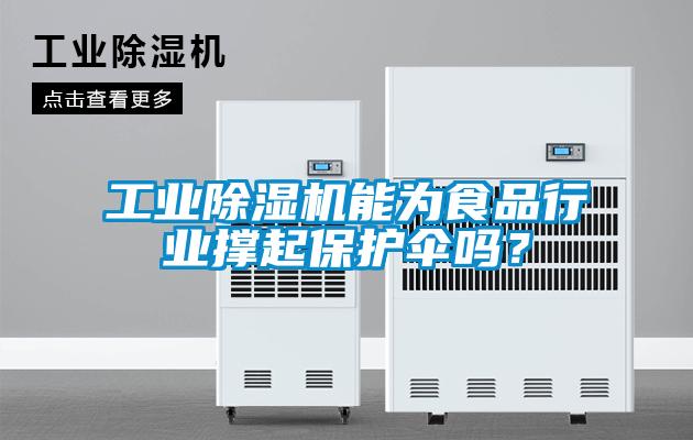 工業(yè)除濕機(jī)能為食品行業(yè)撐起保護(hù)傘嗎？