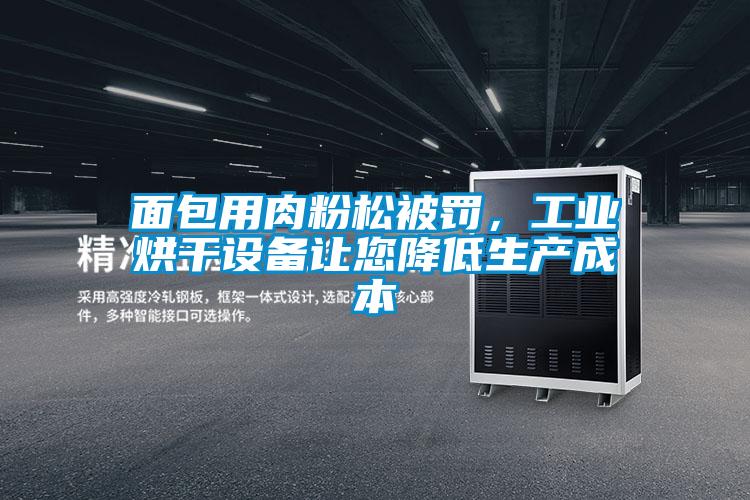 面包用肉粉松被罰，工業(yè)烘干設(shè)備讓您降低生產(chǎn)成本