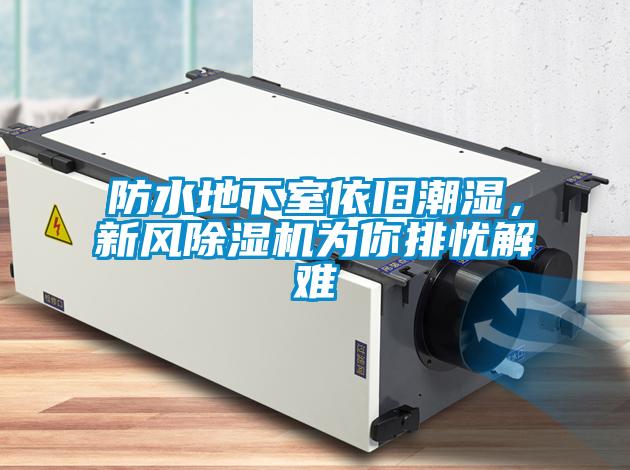 防水地下室依舊潮濕，新風(fēng)除濕機(jī)為你排憂解難