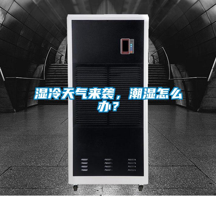 濕冷天氣來(lái)襲，潮濕怎么辦？
