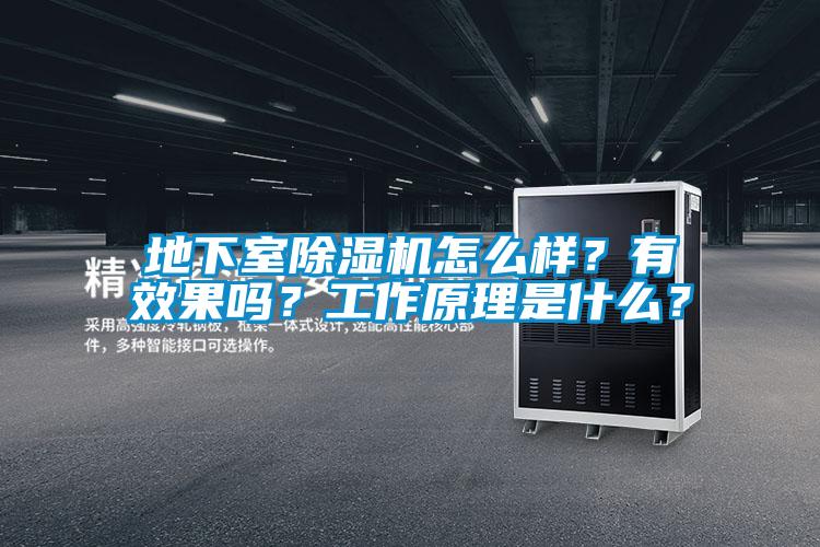地下室除濕機怎么樣？有效果嗎？工作原理是什么？