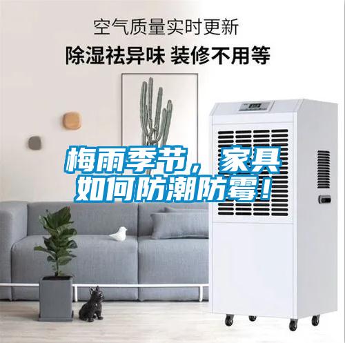 梅雨季節(jié)，家具如何防潮防霉！