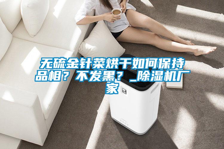無硫金針菜烘干如何保持品相？不發(fā)黑？_除濕機(jī)廠家