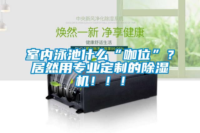 室內(nèi)泳池什么“咖位”？居然用專業(yè)定制的除濕機(jī)?。?！