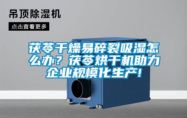 茯苓干燥易碎裂吸濕怎么辦？茯苓烘干機助力企業(yè)規(guī)?；a(chǎn)!