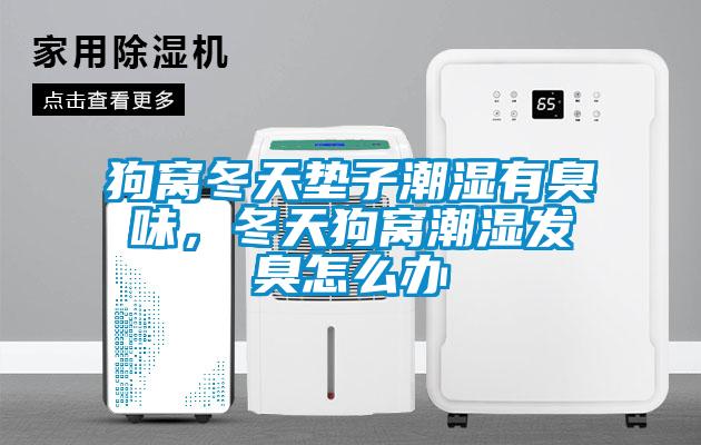 狗窩冬天墊子潮濕有臭味，冬天狗窩潮濕發(fā)臭怎么辦