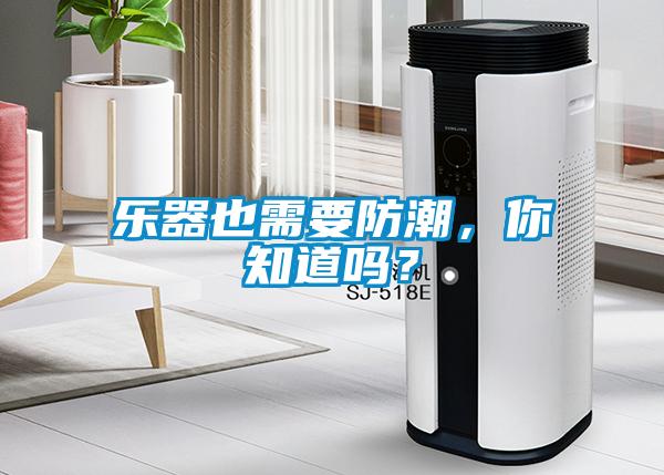 樂器也需要防潮，你知道嗎？