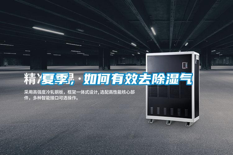 夏季，如何有效去除濕氣