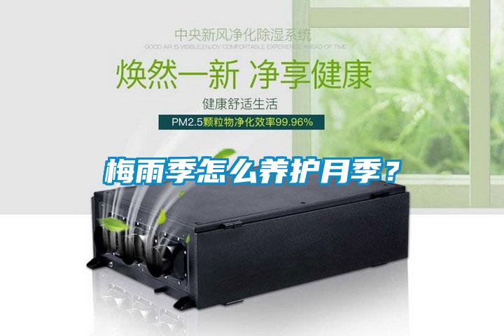 梅雨季怎么養(yǎng)護月季？