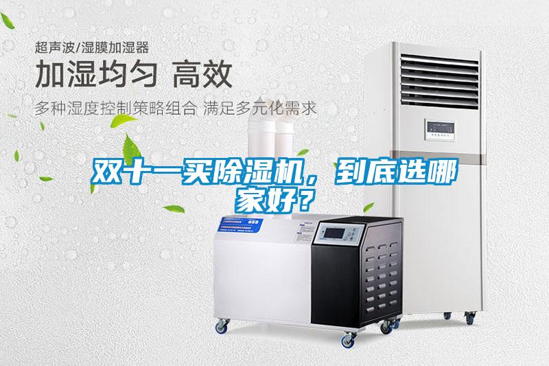 雙十一買除濕機(jī)，到底選哪家好？