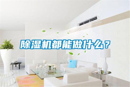 除濕機(jī)都能做什么？