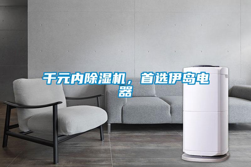 千元內(nèi)除濕機(jī)，首選伊島電器