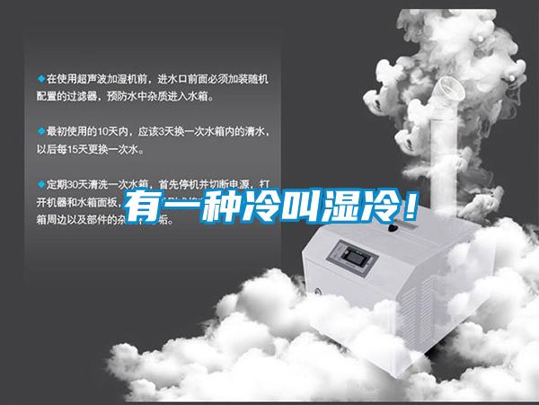有一種冷叫濕冷！