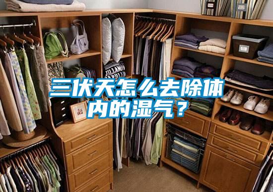 三伏天怎么去除體內(nèi)的濕氣？
