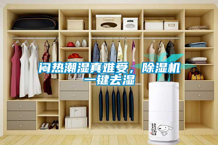 悶熱潮濕真難受，除濕機(jī)一鍵去濕