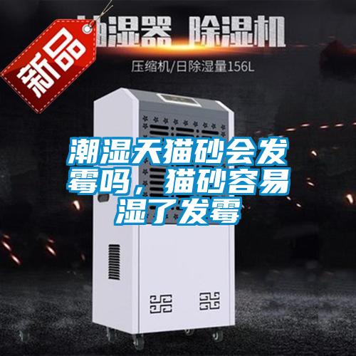 潮濕天貓砂會(huì)發(fā)霉嗎，貓砂容易濕了發(fā)霉