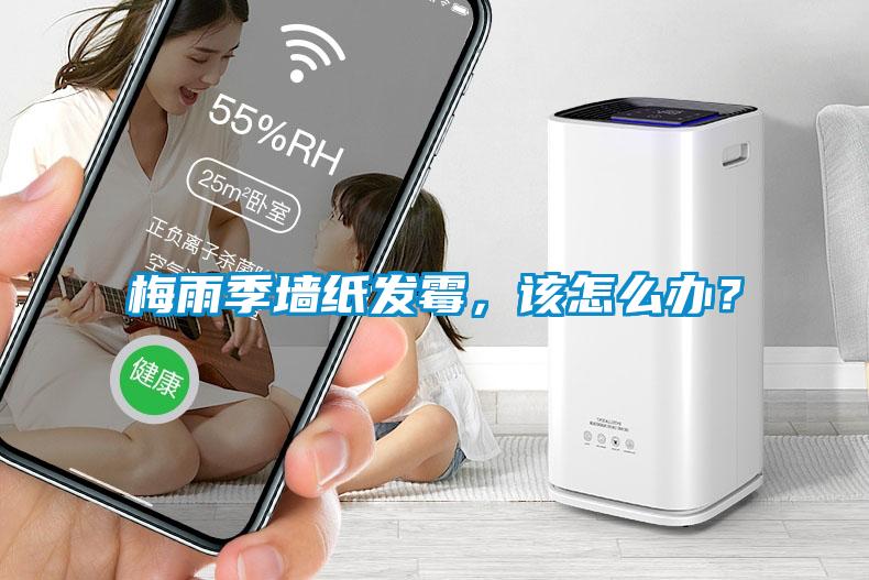 梅雨季墻紙發(fā)霉，該怎么辦？