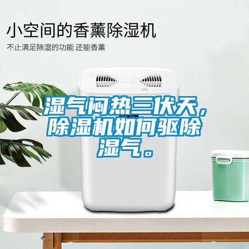 濕氣悶熱三伏天，除濕機(jī)如何驅(qū)除濕氣。