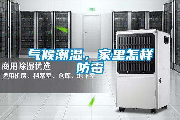 氣候潮濕，家里怎樣防霉