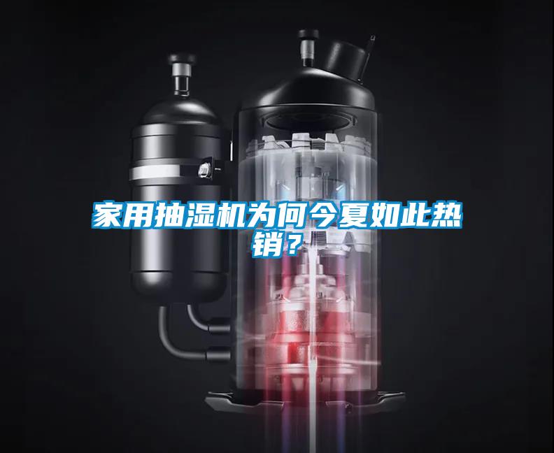 家用抽濕機(jī)為何今夏如此熱銷？