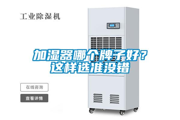加濕器哪個牌子好？這樣選準沒錯
