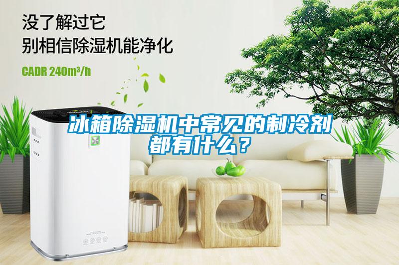 冰箱除濕機(jī)中常見(jiàn)的制冷劑都有什么？
